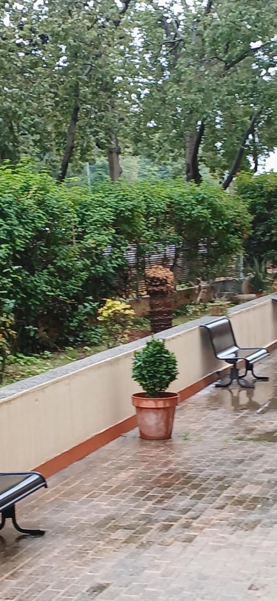 Larru Los Bermejales Residencia Universitaria Σεβίλλη Εξωτερικό φωτογραφία