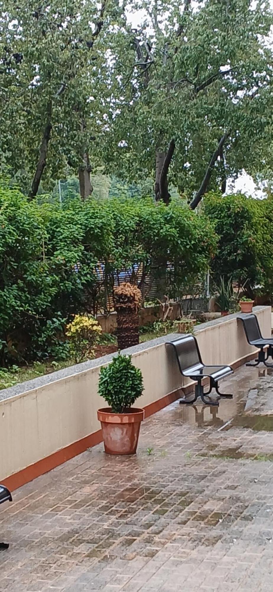 Larru Los Bermejales Residencia Universitaria Σεβίλλη Εξωτερικό φωτογραφία
